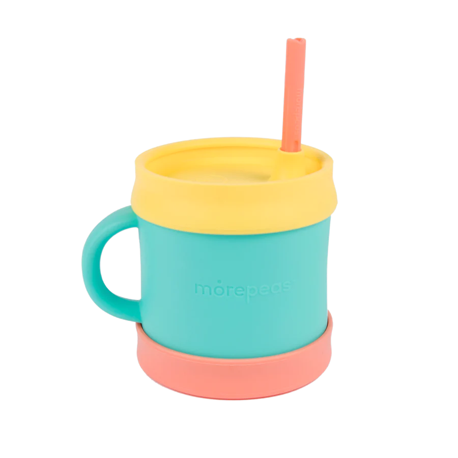 Sippy cup online with straw