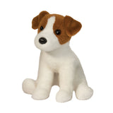 Douglas Fiona Jack Russel Terrier