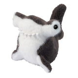 Lil’ Baby Hammerhead Shark