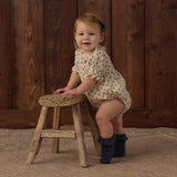 Lace Trim Socks, 2-Pack Fawn, Midnight