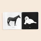 Baby's Black and White Book