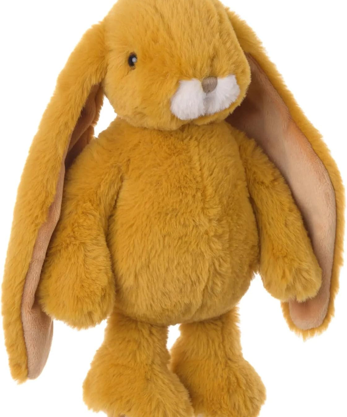 Friendly Kanini Bunny