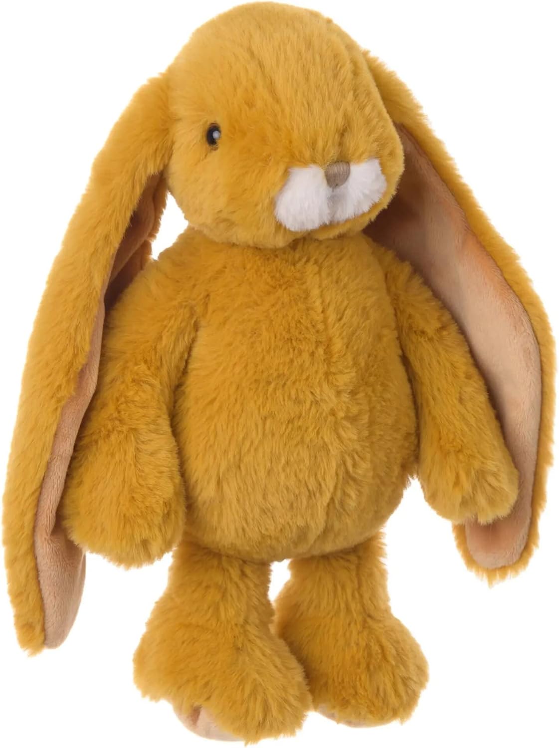Friendly Kanini Bunny