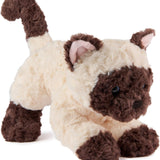 Bootsie Siamese Kitten