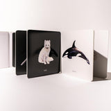 Baby's Black and White Book