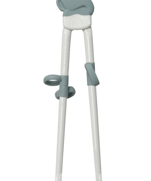 Learning Chopsticks - Born To Be Wild