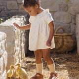 Ruffle Collar Jersey Dress