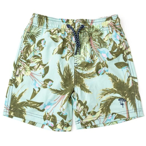 Board Shorts