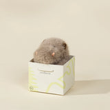 Mini Gift Plush Toy Grey Hippopotamus