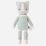 Dylan the Kitten — front view