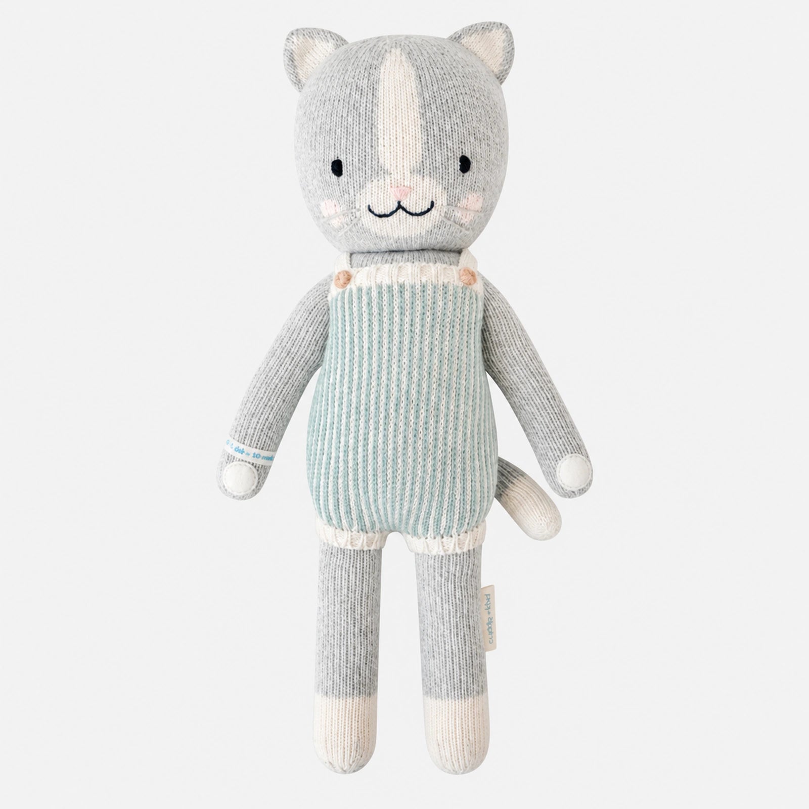 Dylan the Kitten — front view