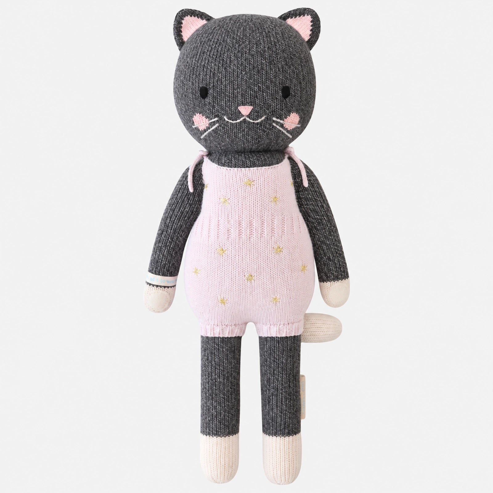Nova the Kitten — front view