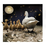 On the Night You Were Born