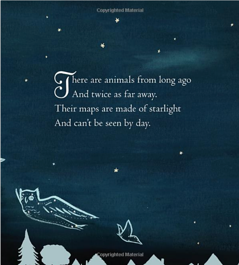 Dream Animals: A Bedtime Journey