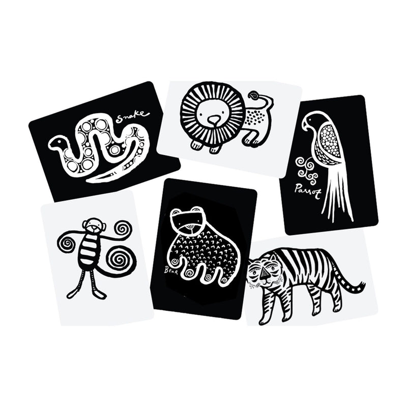 Jungle Black + White Flashcards